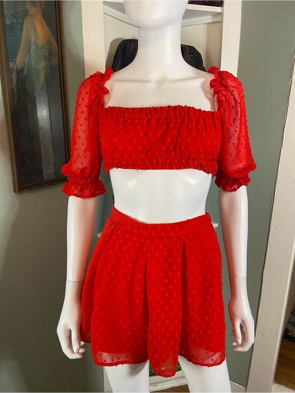 Lucy in the Sky Red Swiss Clip Dot Crop Top & Shorts Set Dot Sheer Small S